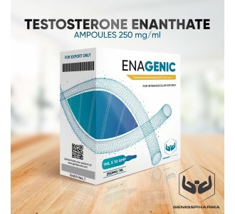 Enagenic (TESTOSTERONE ENANTHATE) 250mg/ml 10amps