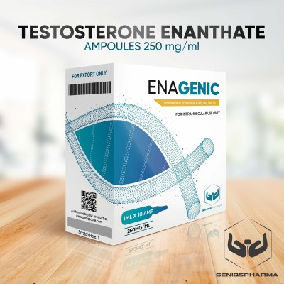 Buy original Genisq Pharma Enagenic (TESTOSTERONE ENANTHATE) 250mg/ml 10amps