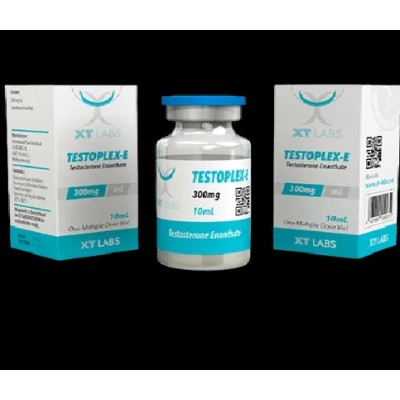 Buy XT Labs Testoplex E300