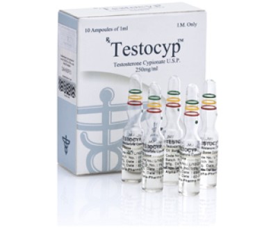 Buy original Alpha Pharma Testocyp (Testosterone Cypionate)
